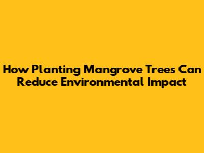 How Planting Mangrove Trees Can Reduce Environmental Impact