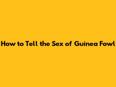 How to Tell the Sex of Guinea Fowl