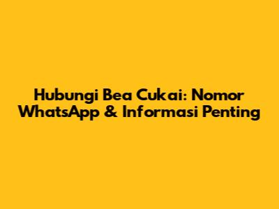 Hubungi Bea Cukai: Nomor WhatsApp & Informasi Penting