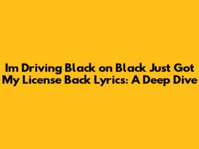 I'm Driving Black on Black Just Got My License Back Lyrics: A Deep Dive