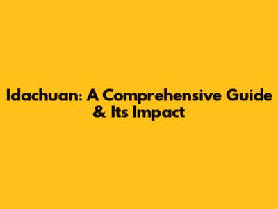 Idachuan: A Comprehensive Guide & Its Impact