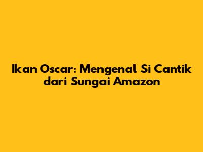 Ikan Oscar: Mengenal Si Cantik dari Sungai Amazon