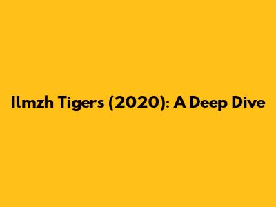 Ilmzh Tigers (2020): A Deep Dive
