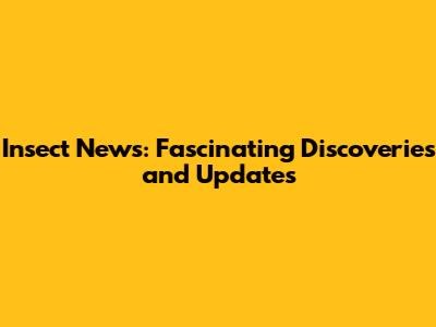 Insect News: Fascinating Discoveries and Updates
