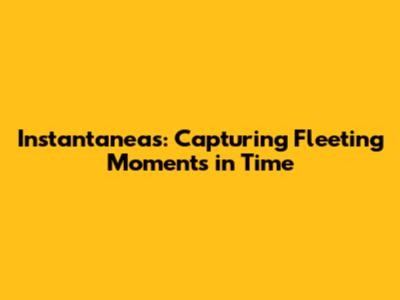 Instantaneas: Capturing Fleeting Moments in Time