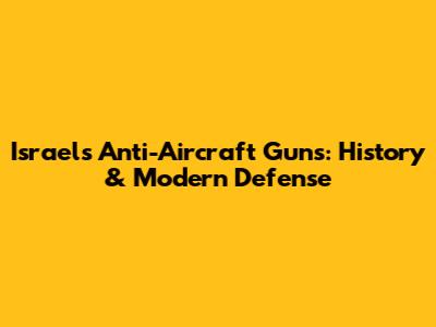 Israel's Anti-Aircraft Guns: History & Modern Defense