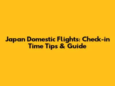 Japan Domestic Flights: Check-in Time Tips & Guide