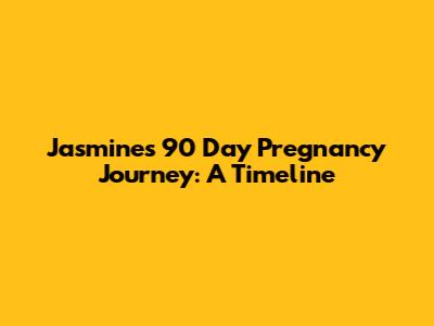 Jasmine's 90 Day Pregnancy Journey: A Timeline