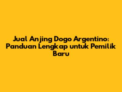 Jual Anjing Dogo Argentino: Panduan Lengkap untuk Pemilik Baru