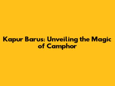 Kapur Barus: Unveiling the Magic of Camphor