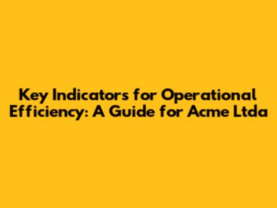 Key Indicators for Operational Efficiency: A Guide for Acme Ltda