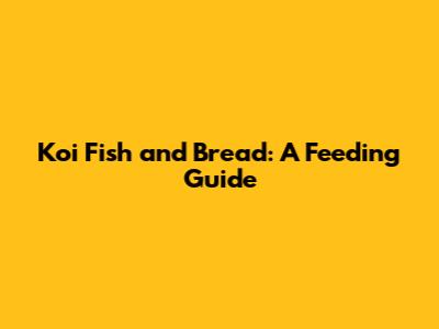 Koi Fish and Bread: A Feeding Guide