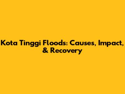 Kota Tinggi Floods: Causes, Impact, & Recovery