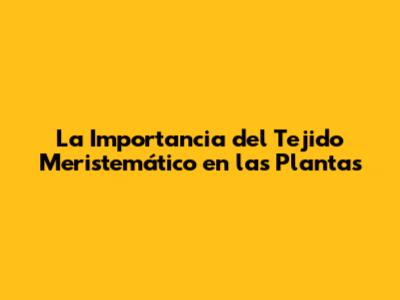 La Importancia del Tejido Meristemático en las Plantas