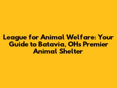 League for Animal Welfare: Your Guide to Batavia, OH's Premier Animal Shelter