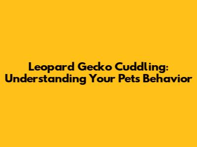 Leopard Gecko Cuddling: Understanding Your Pet's Behavior