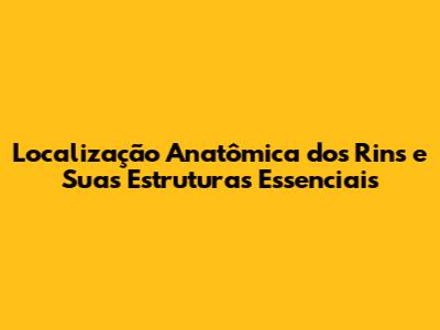 Localização Anatômica dos Rins e Suas Estruturas Essenciais