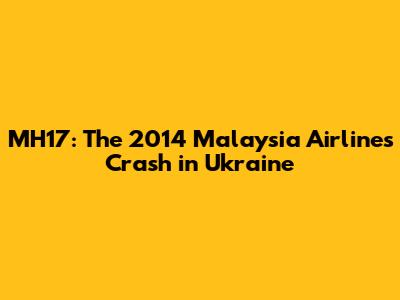 MH17: The 2014 Malaysia Airlines Crash in Ukraine