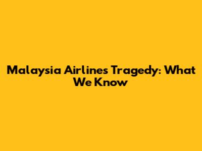 Malaysia Airlines Tragedy: What We Know