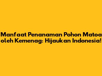 Manfaat Penanaman Pohon Matoa oleh Kemenag: Hijaukan Indonesia!