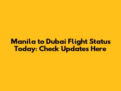 Manila to Dubai Flight Status Today: Check Updates Here