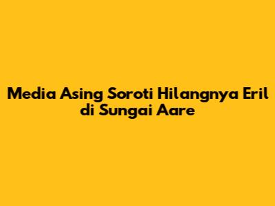 Media Asing Soroti Hilangnya Eril di Sungai Aare