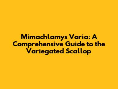 Mimachlamys Varia: A Comprehensive Guide to the Variegated Scallop