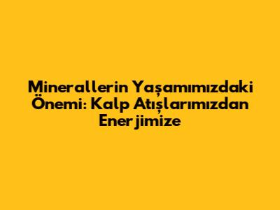 Minerallerin Yaşamımızdaki Önemi: Kalp Atışlarımızdan Enerjimize