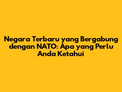 Negara Terbaru yang Bergabung dengan NATO: Apa yang Perlu Anda Ketahui