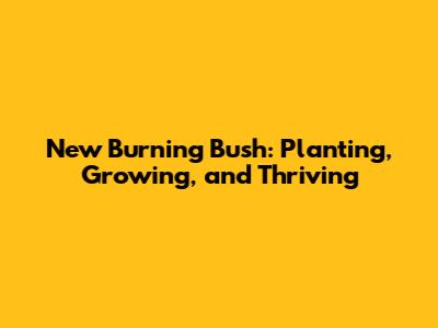 New Burning Bush: Planting, Growing, and Thriving