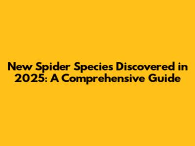 New Spider Species Discovered in 2025: A Comprehensive Guide