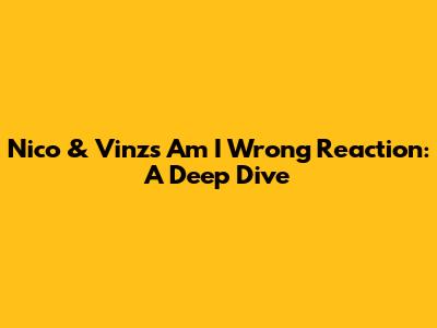 Nico & Vinz's 'Am I Wrong' Reaction: A Deep Dive