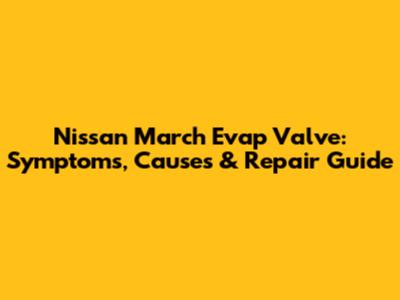 Nissan March Evap Valve: Symptoms, Causes & Repair Guide