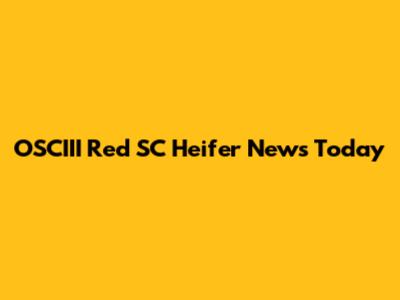 OSCIII Red SC Heifer News Today