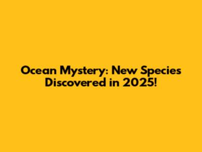 Ocean Mystery: New Species Discovered in 2025!