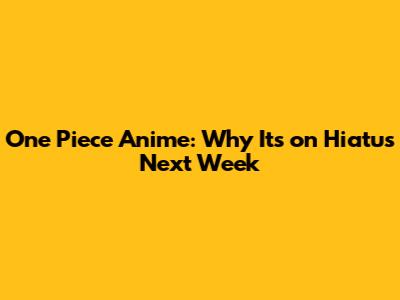 One Piece Anime: Why It's on Hiatus Next Week