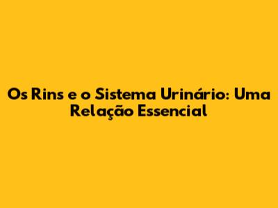Os Rins e o Sistema Urinário: Uma Relação Essencial
