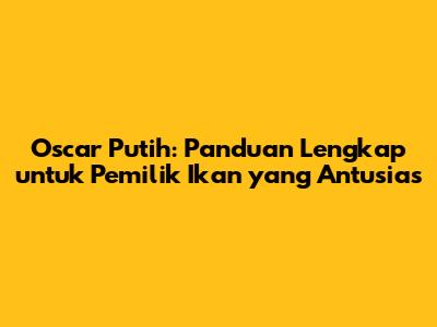 Oscar Putih: Panduan Lengkap untuk Pemilik Ikan yang Antusias