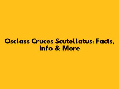 Osclass Cruces Scutellatus: Facts, Info & More