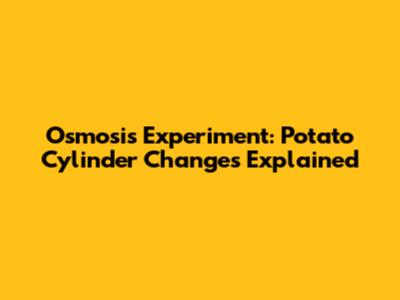 Osmosis Experiment: Potato Cylinder Changes Explained