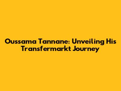 Oussama Tannane: Unveiling His Transfermarkt Journey