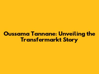 Oussama Tannane: Unveiling the Transfermarkt Story