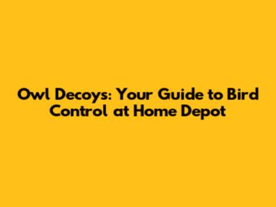 Owl Decoys: Your Guide to Bird Control at Home Depot