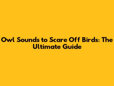 Owl Sounds to Scare Off Birds: The Ultimate Guide