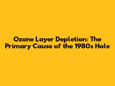 Ozone Layer Depletion: The Primary Cause of the 1980s Hole