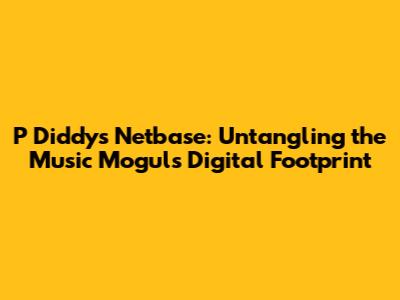 P Diddy's Netbase: Untangling the Music Mogul's Digital Footprint