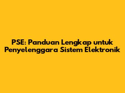PSE: Panduan Lengkap untuk Penyelenggara Sistem Elektronik