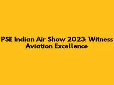 PSE Indian Air Show 2023: Witness Aviation Excellence