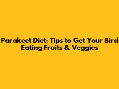 Parakeet Diet: Tips to Get Your Bird Eating Fruits & Veggies