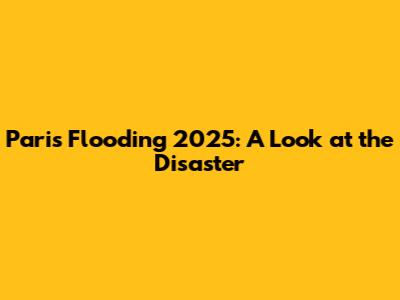 Paris Flooding 2025: A Look at the Disaster
